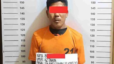 tersangka pengedar ganja Labuhanbatu