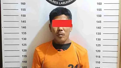 tersangka pengedar ganja Labuhanbatu