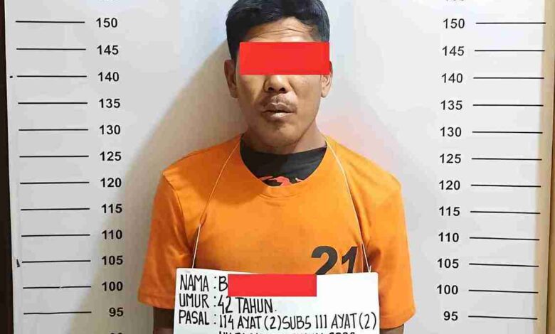 tersangka pengedar ganja Labuhanbatu