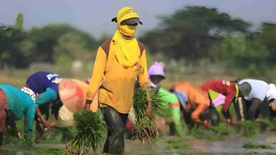 Hari Buruh Sedunia