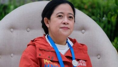 ketua dpp pdip, puan maharani