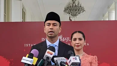 raffi ahmad