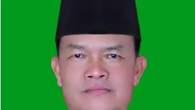 tomi emiral siap memenangkan paslon tafyani-ezi