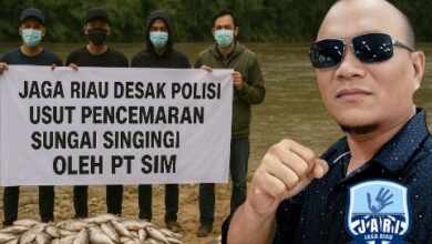Jaga Riau Desak Polisi Usut Dugaan Pencemaran Sungai Singingi oleh PT SIM Adra Sufianta, ketua bidang lingkungan Jaga Riau Kuansing