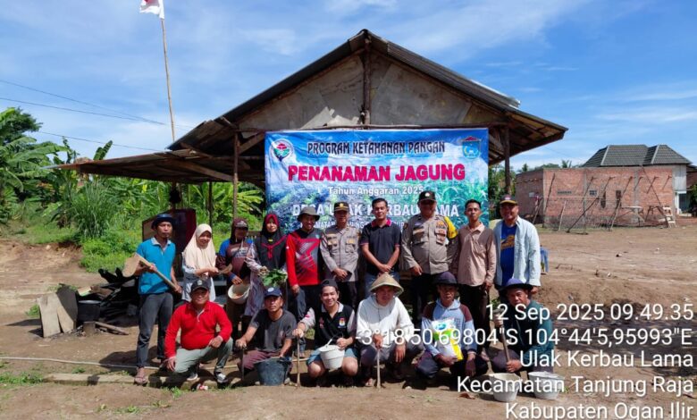 Wakapolsek Tanjung Raja Bersama Bhabinkamtibmas Hadiri Tanam Jagung Progam Ketahanan Pangan di Desa Ulakkerbau Lama