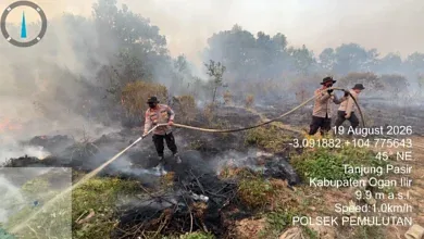 Tim Gabungan BKO Polda Sumsel, Personel Polsek Pemulutan Polres Ogan Ilir TNI dan Masyarakat Padamkan Karhutlah