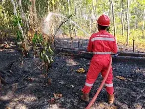 Jaga Keselamatan Bersama, PHR Zona 4 Respon Cepat Padamkan Lebih dari 100 Titik Api Karhutla Sumsel