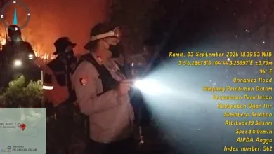 Tim Gabungan Padamkan Kebakaran Lahan 20 Ha di Pemulutan, Api Dekati Tol Palindra