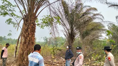 Cegah Karhutla, Polsek Rantau Alai Gencarkan Patroli dan Mitigasi di Wilayah Hukum