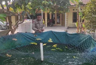 Dukung Ketahanan Pangan, Polsek Rantau Alai Monitoring Budidaya Ikan Patin