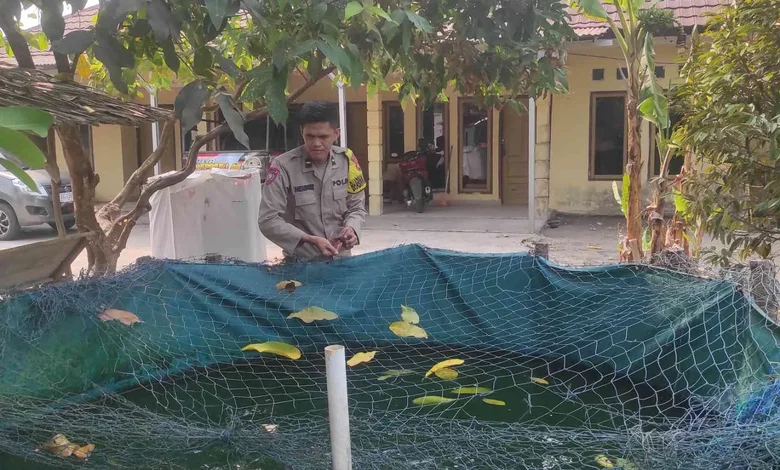 Dukung Ketahanan Pangan, Polsek Rantau Alai Monitoring Budidaya Ikan Patin