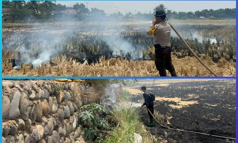 Gerak Cepat Polsek Pemulutan dan BPBD Padamkan Karhutla di Pelabuhan Dalam