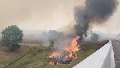 Lahan Dekat KM 18+600 A Tol Palindra Terbakar Hingga Timbulkan Asap Pekat, Pengguna Jalan Singgung Kinerja Polisi