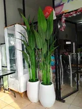 Toko A3 Berkah Molinow Kotamobagu, Solusi Terbaik Memperindah Rumah Dengan Harga Murah Dan Berkualitas