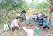 kebakaran hutan dan lahan