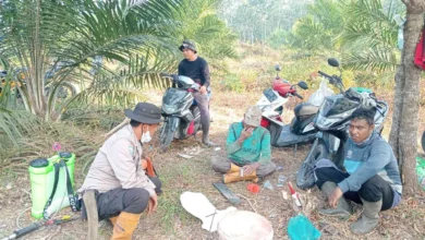 kebakaran hutan dan lahan