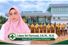 lince sri purwani