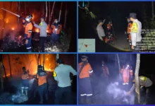 Foto pendukung berita Gerak Cepat Polsek Tanjung Raja, Karhutla 2 Hektare di Desa Tanjung Temiang Berhasil Dipadamkan