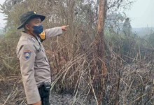Foto pendukung berita Jaga Lingkungan Tetap Aman, Polsek Rantau Alai Gencar Lakukan Mitigasi Karhutla
