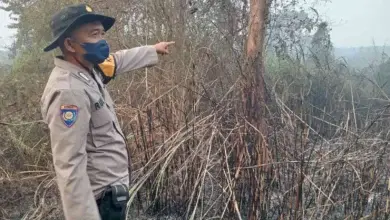Foto pendukung berita Jaga Lingkungan Tetap Aman, Polsek Rantau Alai Gencar Lakukan Mitigasi Karhutla
